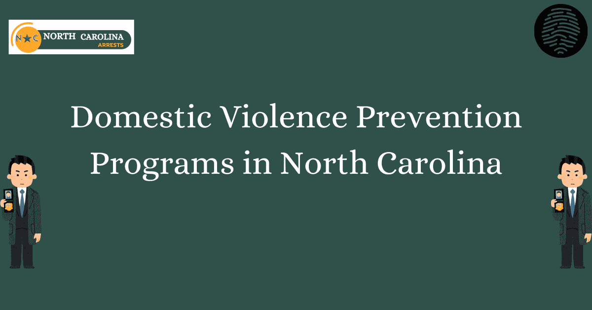 Domestic Violence Prevention Programs in North Carolina 1